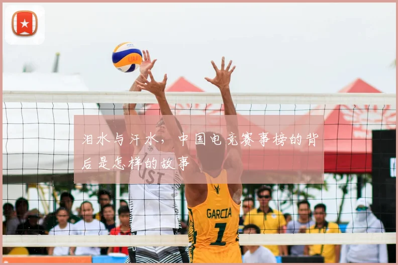 泪水与汗水,中国电竞赛事榜的背后是怎样的故事
