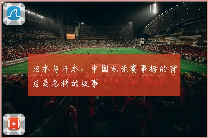 泪水与汗水,中国电竞赛事榜的背后是怎样的故事